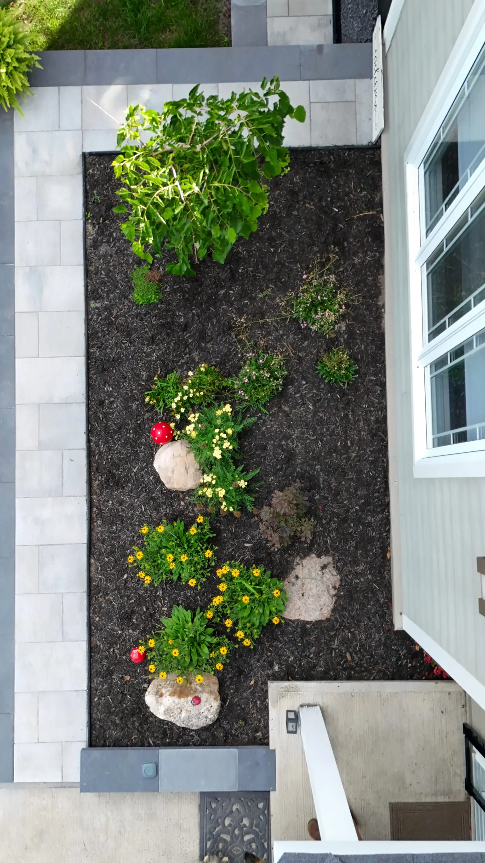 A narrow foundation bed beside the terrace paving, mulched in black and planted with low yellow perennials set between placed boulders